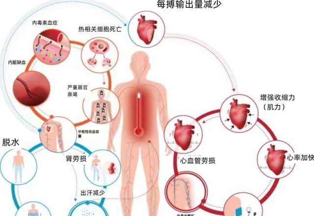 人类极限很强大?若地球越来越热,气温到多少度人类将无法适应?