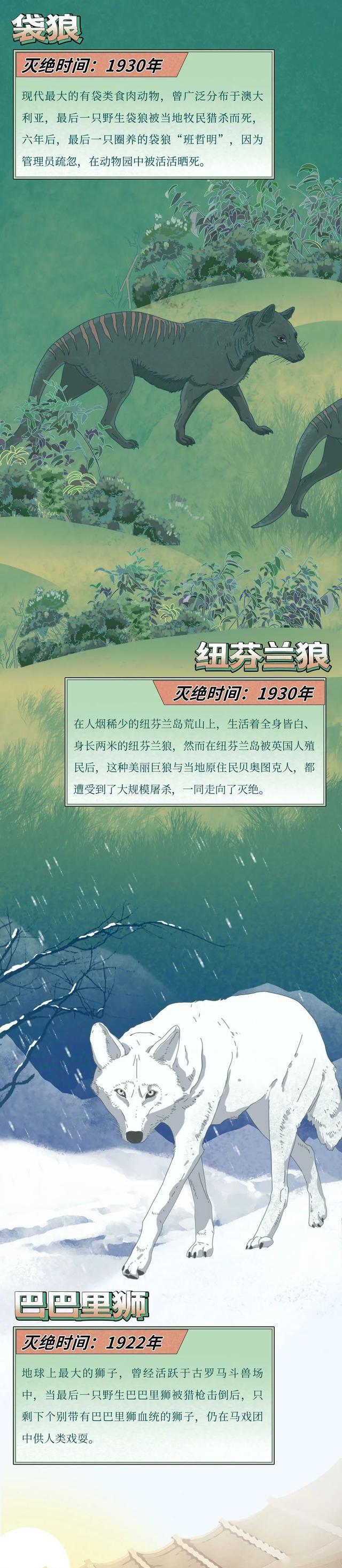 “第六次全球动植物大灭绝,正在进行中……”一组漫画了解
