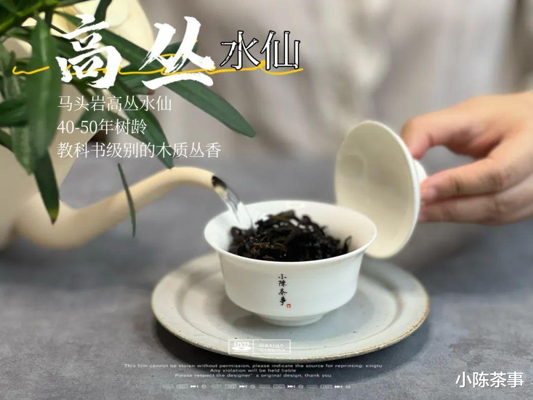 泡遍六大茶类，这4种不洗茶的理由，有说服你吗？