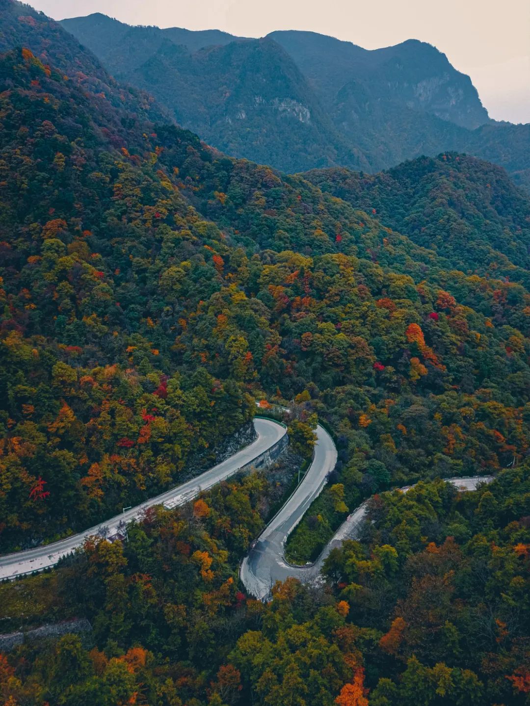 秦岭|10月下，中国最美的赏秋地不在别处，而是在陕南，去一次秦岭！