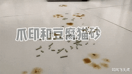 因为一条8.8元的地毯，我买了3K的洗地机