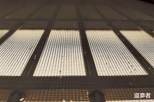 黄芪|最全夏天各类蚊虫驱除指南，建议收藏