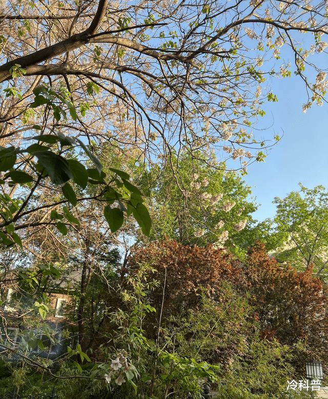 郭德纲|郭德纲全家排队做核酸,7岁郭汾瑒身材引热议,张云雷跟师傅同行