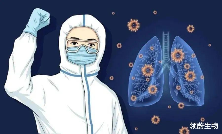 疫情之下,为什么越来越多的人在“补”干细胞