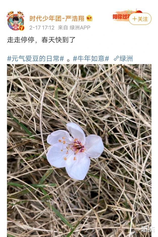 严浩翔|晒花悼念去世粉丝,后因吐槽李泽言台词羞耻,惨遭其粉丝疯狂围攻