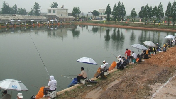 |钓鱼人最担心的几个时间点，怕一走开就来鱼