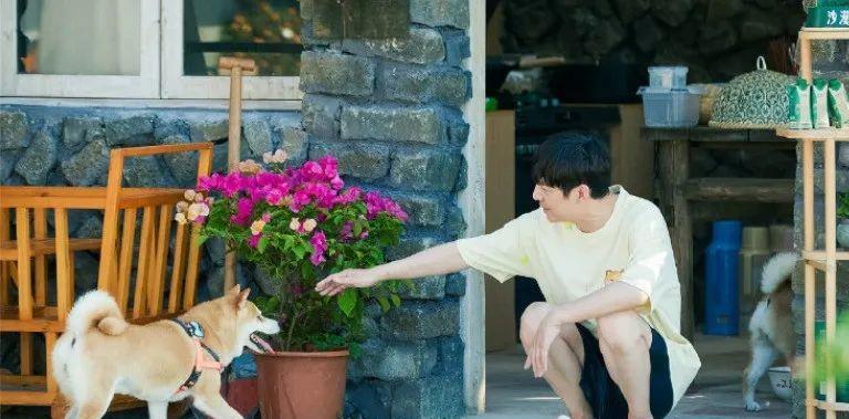 向往的生活|吃完饭还要刷碗，算什么《向往的生活》？