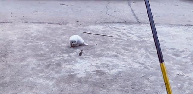 |四川男子禁渔期间想钓鱼，想出小妙招成功地过了瘾，网友直呼人才