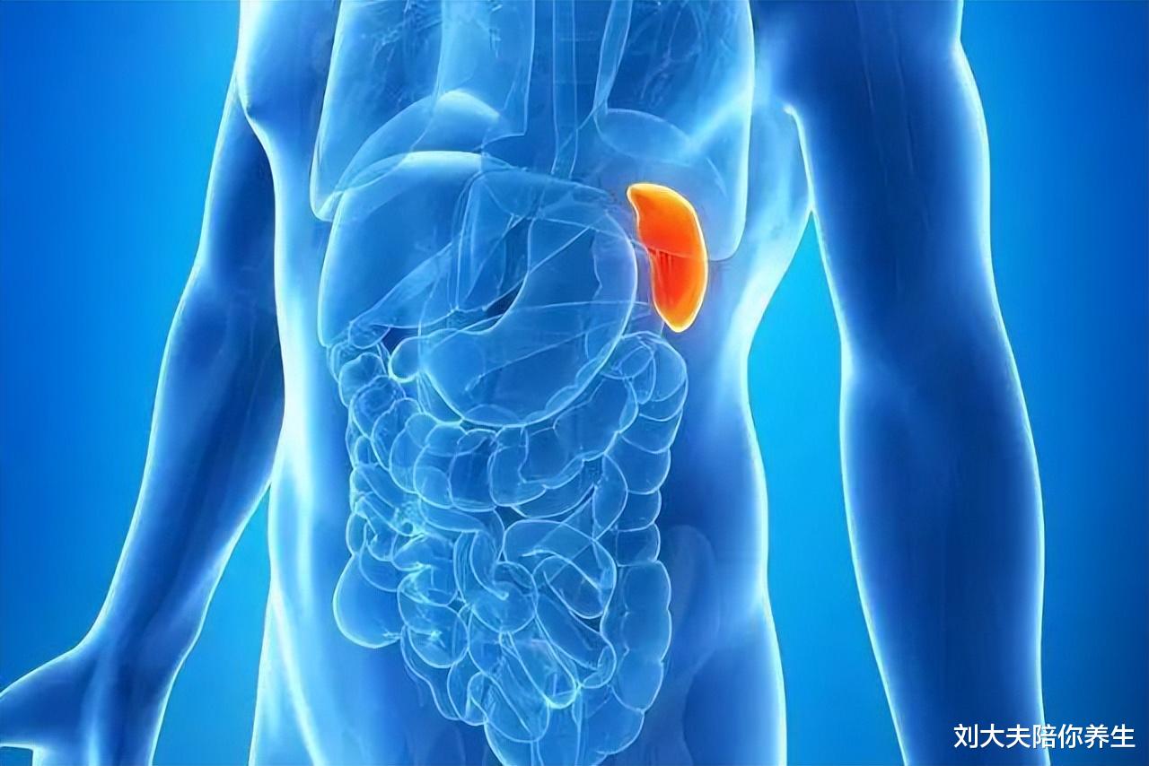 脾胃|内伤脾胃,百病丛生!十人有九脾虚,无外乎3大因素,不可忽视