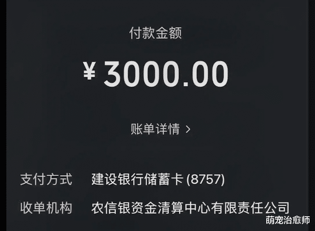 流浪狗即将送去救助站当晚，却被人“准时”投毒，至今昏迷不醒！
