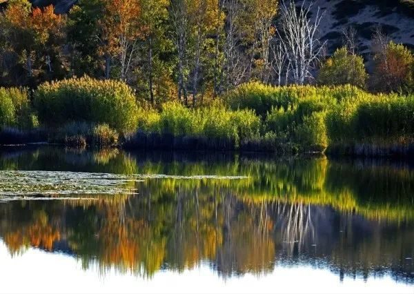 |职场上，与其被动应付上级的安排，不如主动的自立自强