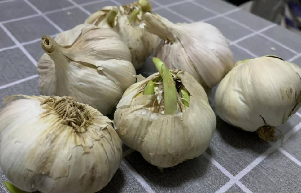 买大蒜,这5种白送都不要,菜贩自己从不吃,看完告诉家里人