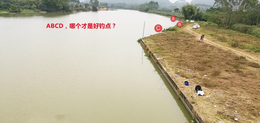 饵料|新手钓鱼，多看看这“5点”基本要领！简单好学入门快