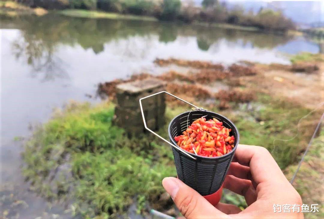饵料|夏季大晴天不好钓鱼？野钓鲫鱼这样做窝，大板鲫连竿不断