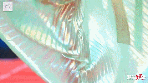 威尼斯电影节|“辣眼睛”的国际红毯又来了，尺度一个比一个大，国外女星真敢穿