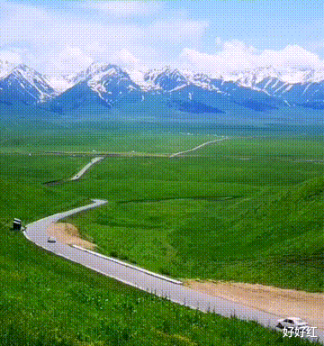 沙漠骆驼|?这个夏天如果只能去一个地方，  那一定是北疆！