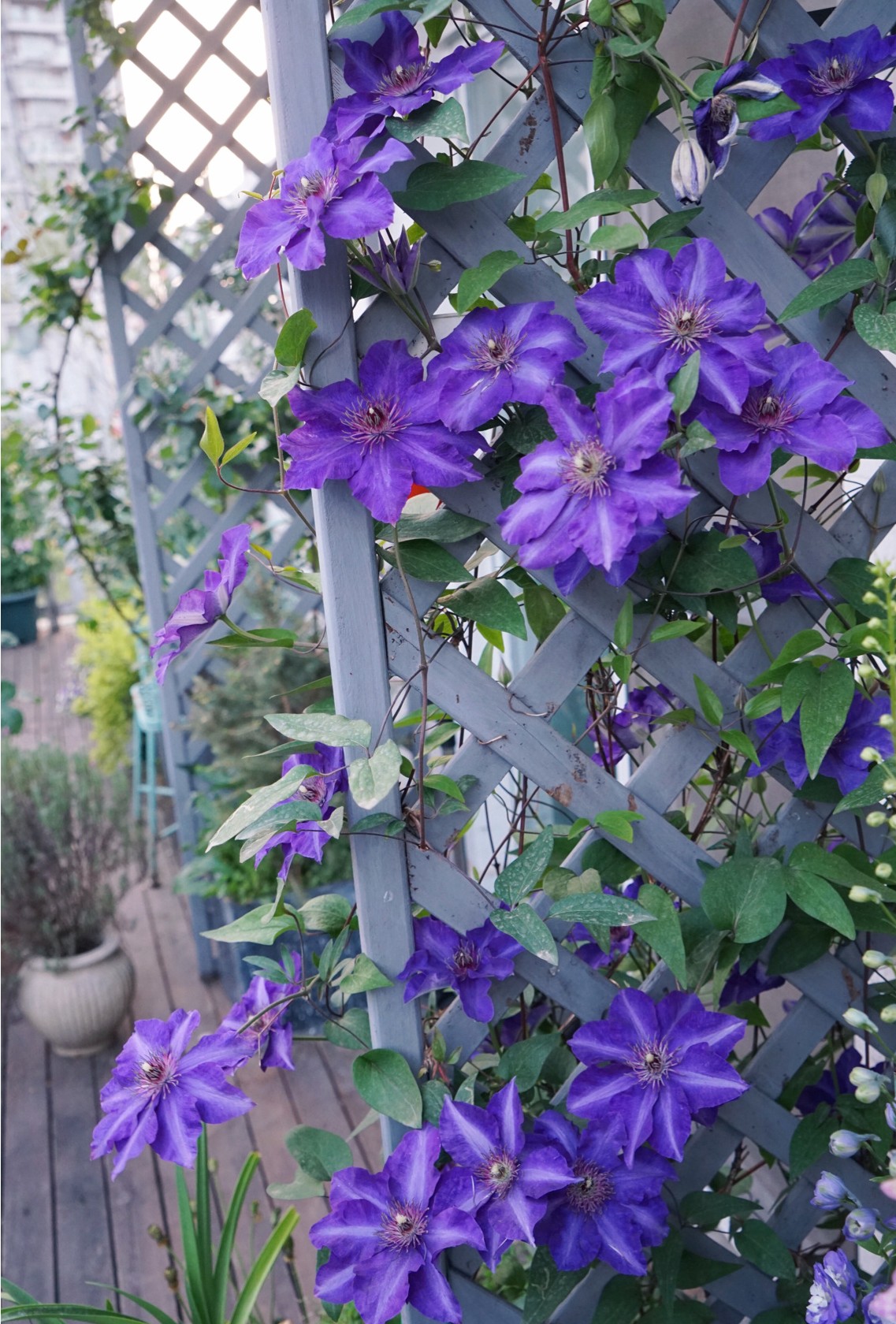 35㎡楼顶露台，亲手打造空中小花园，这才是顶楼的正确打开方式