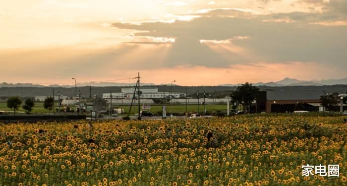 fcc|小家电都是“智商税”又如何？用户喜欢资本青睐就行！