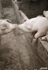 |姑娘！你收敛点，这是相亲，不能暴露你的职业呀！哈哈哈