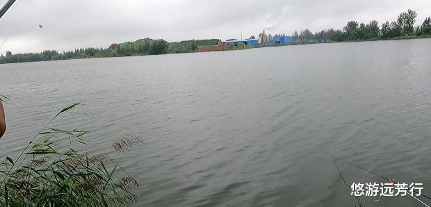 |为了几条便宜鱼,硬生生把自己送进了班房,钓鱼人的天堂遭破坏