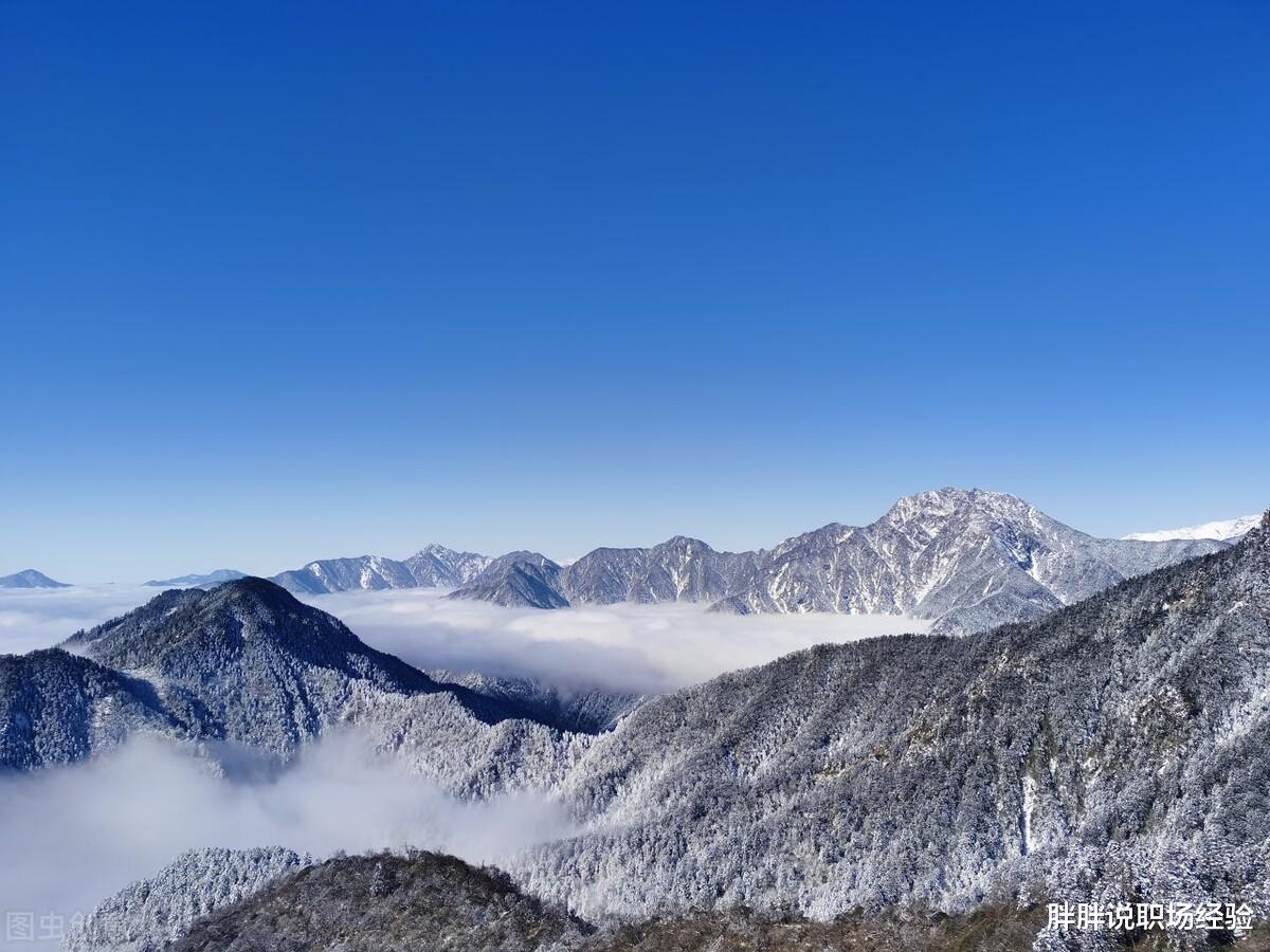 辽宁省|人在职场，要具备三种核心的价值，才能不断自我增值