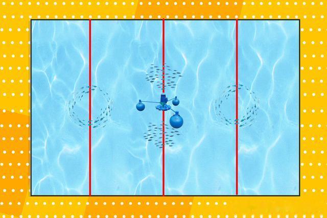 玉米|春天钓黑坑鲤鱼,钓位第一重要,春天钓黑坑鲤鱼的选钓位技巧