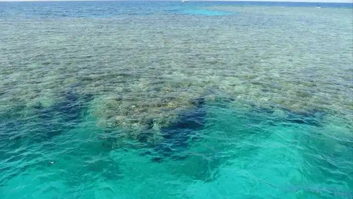 一键淡化海水,不仅便捷而且便宜