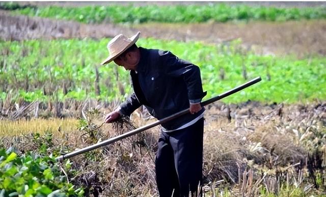 |农村严禁私自建房?严查各类“自建房”,农民朋友们要了解下