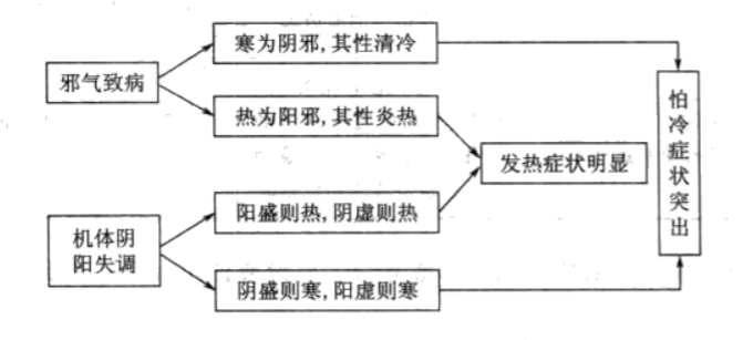 水果|如何从寒热看病性病位（1/2）