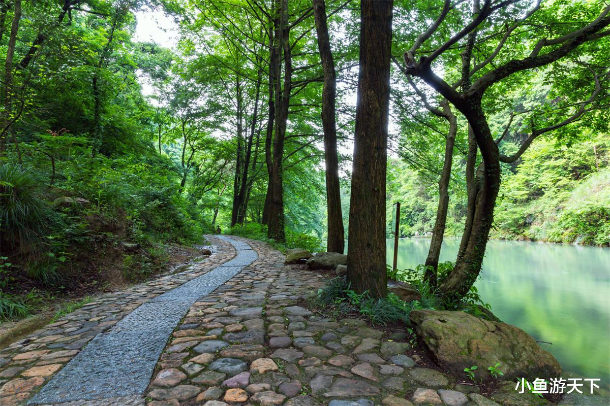 浦江|去一次浦江县,带上你最爱的人