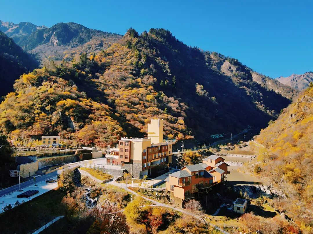 汶川|上榜！捷报频传冬日暖，无忧汶川有“喜”来报