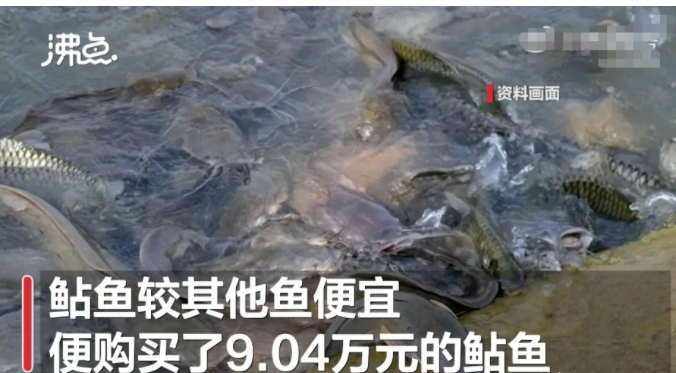江苏常州,女子徐某听人说,放生可以给亲友祈福,积累福报,就打算发生一批鱼