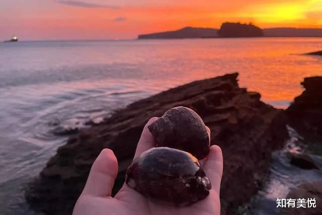 神农架|这8个初夏好去处,遇见限定的风景,看看你对哪个更心动吧!