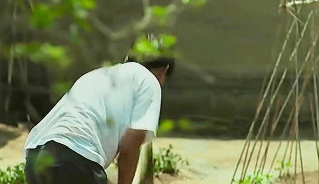 黑豹2|《父母爱情》江昌义当兵后为什么能平步青云?与继父有很大关系