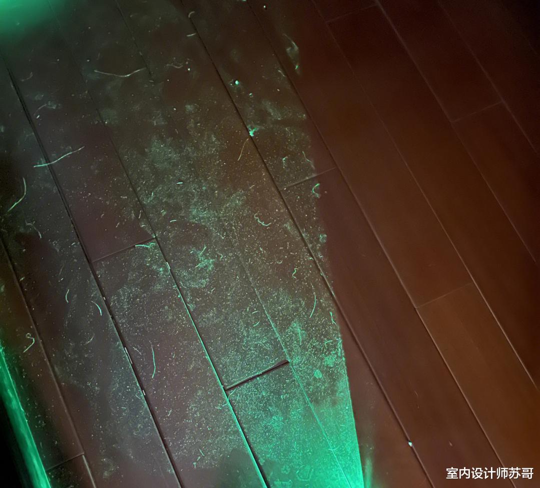 室内满是“飞尘、毛絮”?老保姆支个招,毛絮自动消失,真干净!