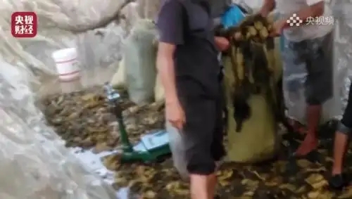 淘宝|看见的淘宝刷好评，看不见的“3.15”晚会