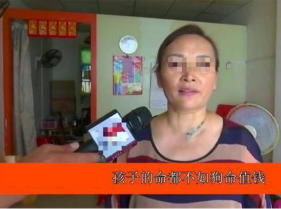 五岁男童被狗咬伤两次，男孩父亲打死狗遭索赔2万，法院是如何判的？