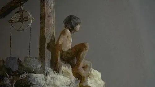 |职场观察——挺可悲的，信奉“专业技能”的只有基层员工！