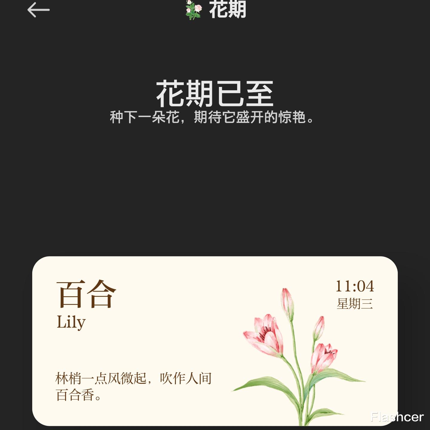 MIUI|MIUI13小部件新增【花期】,5款样式可切换,你喜欢哪种?