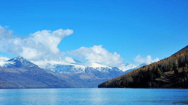 辽宁省|辽宁钓友水库钓到巨青，有人当场出7000，钓鱼也能发家致富吗？
