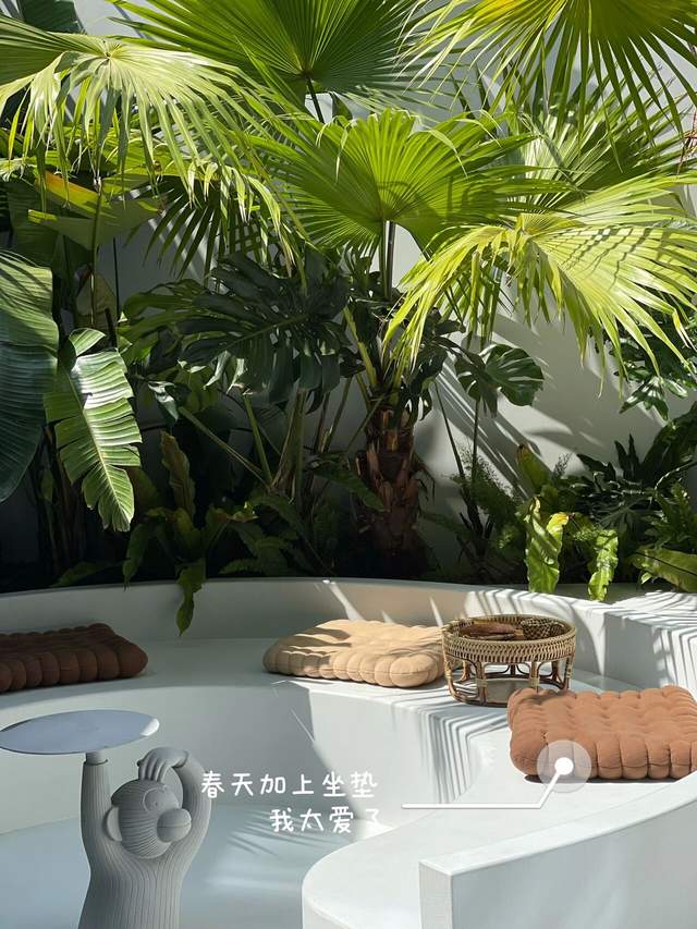 50㎡小院,亲手打造热带风花园,宅在家也像在度假