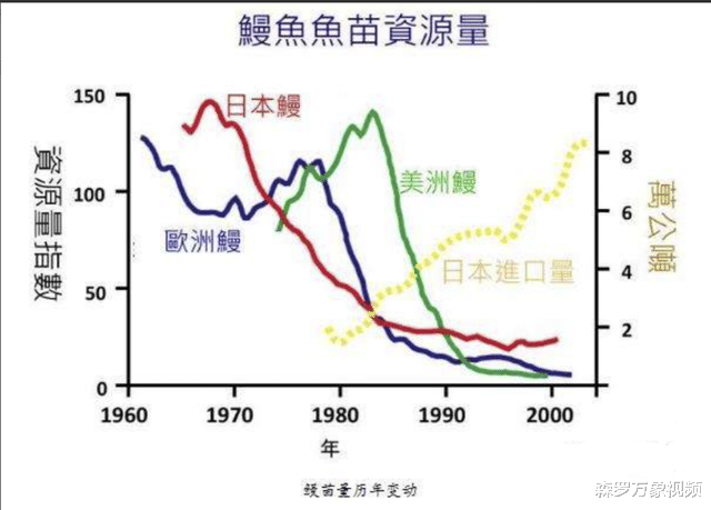 被人吃了几千年的鱼,直到突然濒危,也没人知道它们来自何处