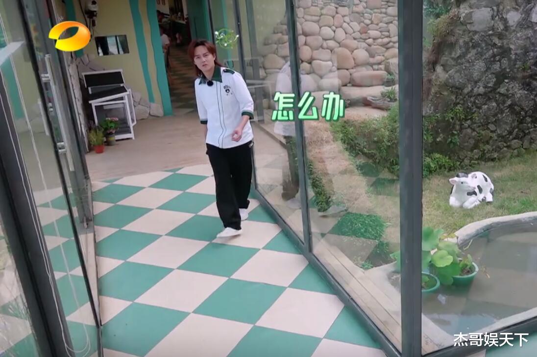 尹正|章若楠的“欠揍”让《中餐厅》封神，尹正的抱怨让节目找到了出路