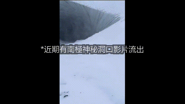 2300米下发现未知鱿鱼,慢慢破解悬案,发现了南极深海巨物的秘密