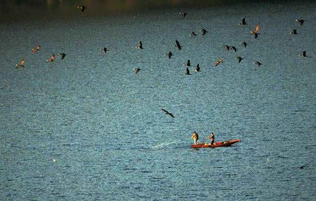 文昌|冬日暖阳，带上心爱的ta 一起来冬游青川吧~