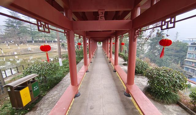 |12+256的iQOO10，其各方面体验如何？目前是否还值得入手？