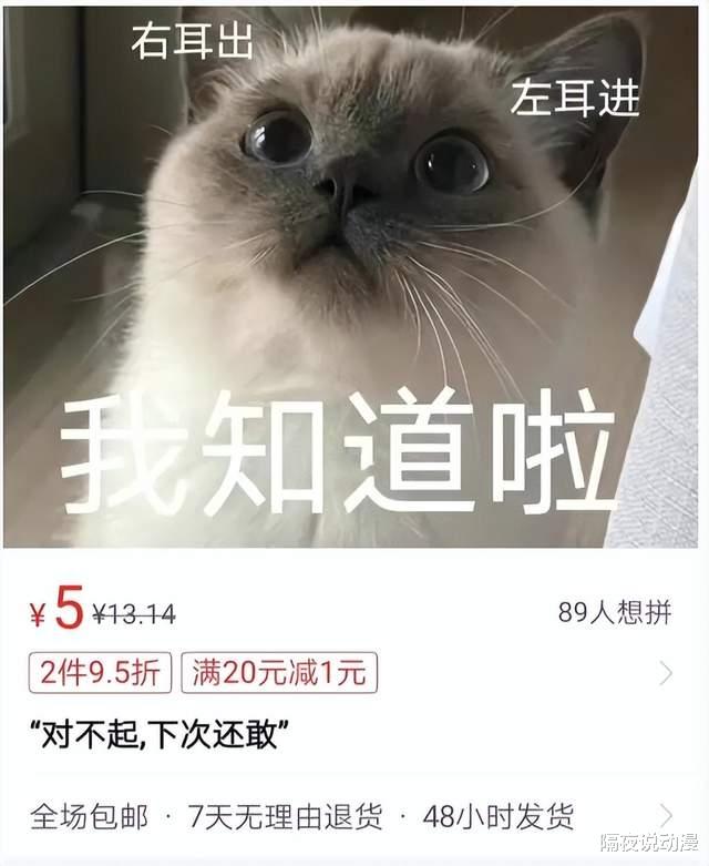 拼多多|拼多多上的不发货，藏着多少年轻人的寂寞？