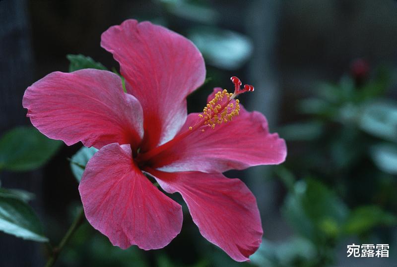 上海市|现实社会里，你要明白这些潜规则