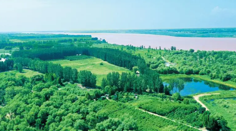 日照|郑州露营你会去黄河国家湿地公园吗？