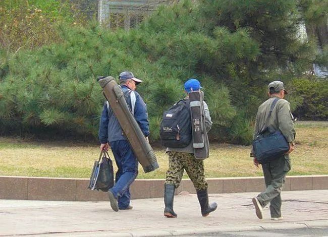 春分|春分到谷雨这段时间,鱼上浮了怎么钓?这两种方法屡试不爽